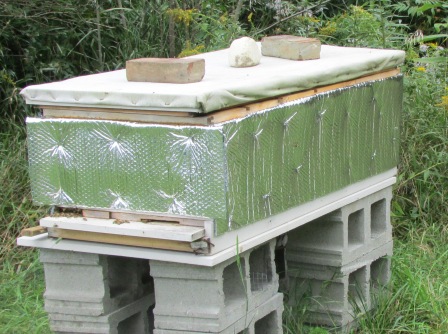 long_hive_with_insulation