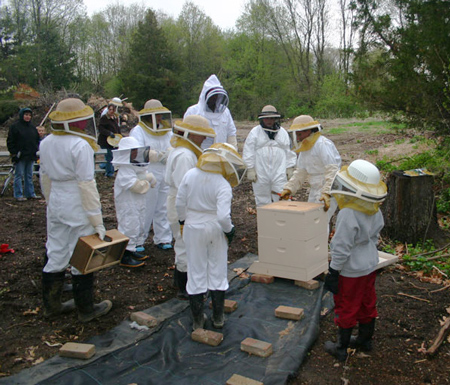 Young-Beekeepers-First-Hive
