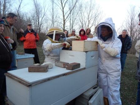 long hive installation