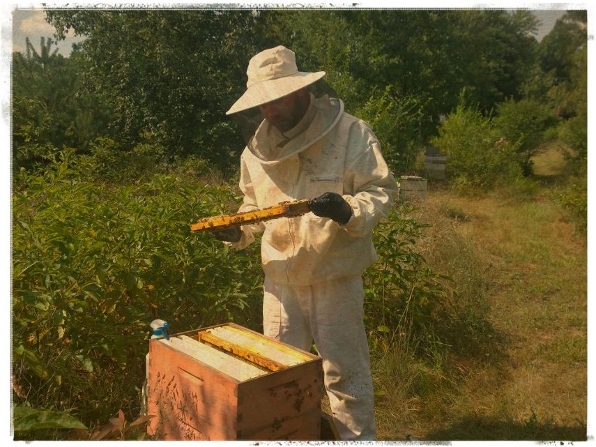 chris with bees