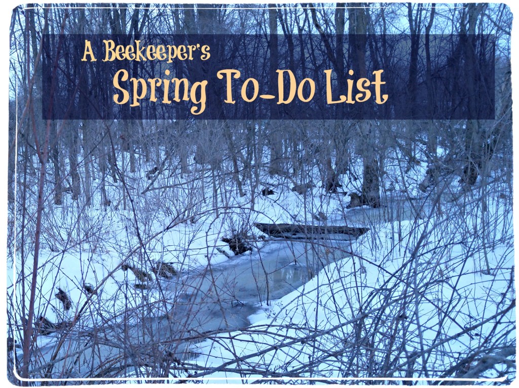 beekeepers spring to do list