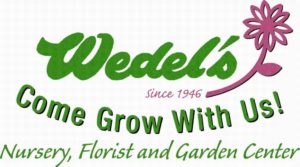 Wedel's